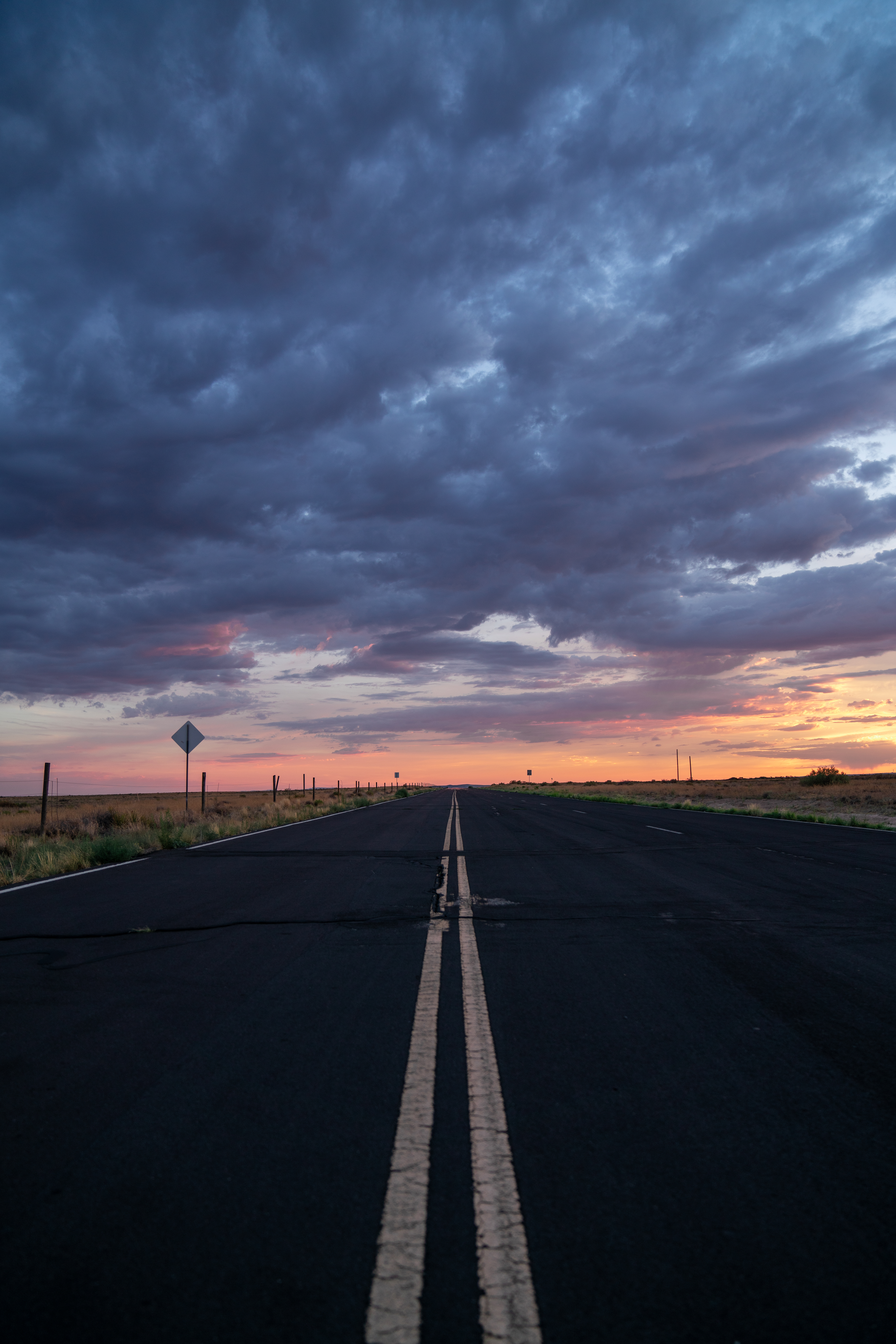 Paddy Moynahan Photography